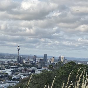 Mt Eden – Auckland