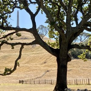 Cornwall Park – Epsom