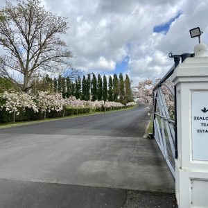 Zealong Tea Estate Entry Gate