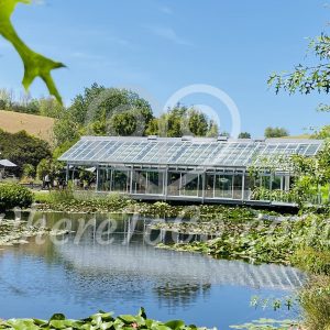 Brick Bay Wines & Sculpture trail – Snells beach