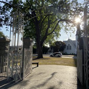 Te Koutu Lake Domain – Cambridge