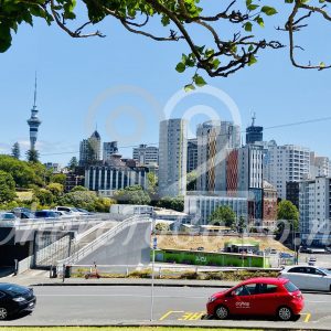 Fraser Park – Parnell