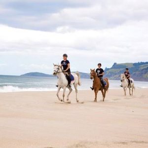 Pakiri Beach Horse Rides – Wellsford (Northland)
