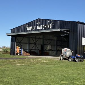 Kaikoura Whale Watch flights – Kaikoura