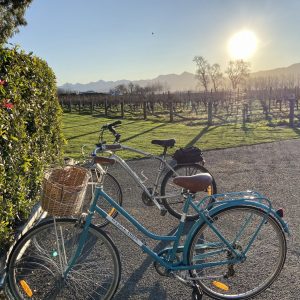 Martinborough Winery Tour Bicycles