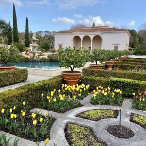 Places To Go Auckland 2 Hamilton Gardens – Hamilton