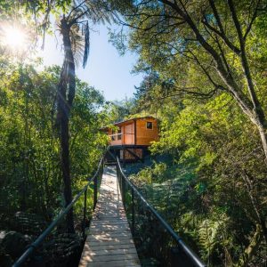 Places To Go Auckland 9 Mahoe Cabin – Waikato