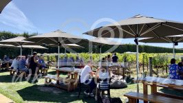 Moy Hall Resturant & Winery – Martinborough