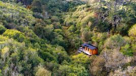 Mahoe Cabin – Waikato