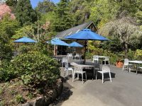 Mt Eden Gardens – Auckland