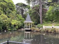 Wellington Botanical Gardens – Wellington