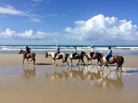 Pakiri Beach Horse Rides – Wellsford (Northland)