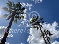 Hunting Lodge Winery & Restaurant – Waimauku (Auckland)