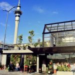 The Botanist Cafe & Florist – The Depot (Auckland CBD)
