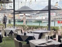 Oyster & Chop – Viaduct Auckland