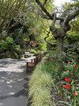 Mt Eden Gardens – Auckland