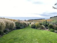 Tantalus Winery & Brewery – Waiheke (Auckland)