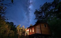 Mahoe Cabin – Waikato