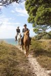 Pakiri Beach Horse Rides – Wellsford (Northland)