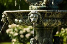 Bushmere Arms – Gisborne