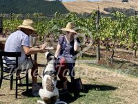 Moy Hall Resturant & Winery – Martinborough