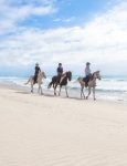 Pakiri Beach Horse Rides – Wellsford (Northland)