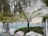 Wairakei Terraces Thermal Pools – Taupo
