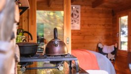 Mahoe Cabin – Waikato