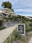 Mudbrick Vineyard & Restaurant – Waiheke Island