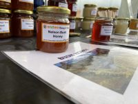 Nelson Market – Nelson