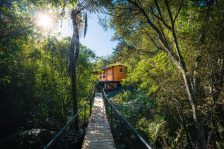 Mahoe Cabin – Waikato