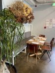 Major Sprout Cafe – Auckland CBD