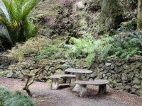 Mt Eden Gardens – Auckland