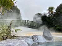 Wairakei Terraces Thermal Pools – Taupo