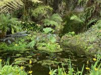 Mt Eden Gardens – Auckland