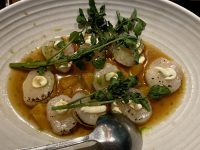 Urban Oyster Bar & Eatery – Nelson