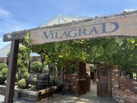 Vilagrad Winery Hamilton – Waikato