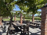 Vilagrad Winery Hamilton – Waikato