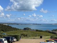 Mudbrick Vineyard & Restaurant – Waiheke Island