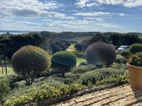 Mudbrick Vineyard & Restaurant – Waiheke Island