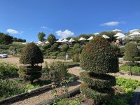 Mudbrick Vineyard & Restaurant – Waiheke Island