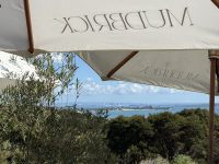 Mudbrick Vineyard & Restaurant – Waiheke Island