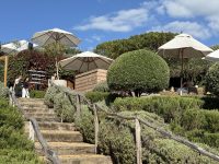 Mudbrick Vineyard & Restaurant – Waiheke Island
