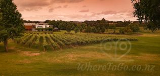 Villa Maria Winery & Resturant – Mangere