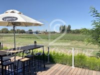 Camarosa Cafe Menu Strawberry Fields