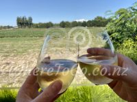 Camarosa Cafe Strawberry Fields Wine Glasses Clink