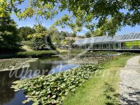 Brick Bay Wines & Sculpture trail – Snells beach