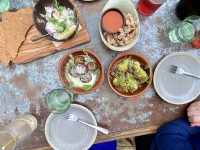 The Garden Shed Bistro – Mount Eden (Auckland)