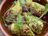 The Garden Shed Bistro – Mount Eden (Auckland)