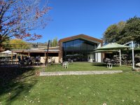 Modern building with large windows on grassy lawn, tables with umbrellas, trees, mountains visible.